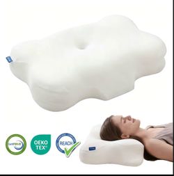 (New)Butterfly Pillow