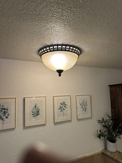 Bathroom Or Extra Large Room Dome Light 