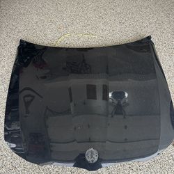 2009 BMW 328i hood