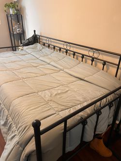 Twin Daybed - Frame + Mattress