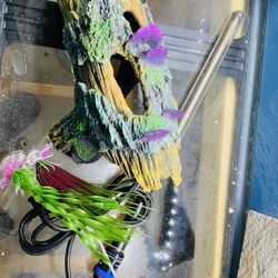 75 Gallons Aquarium 