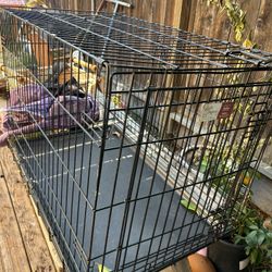Large Dog Kennel 