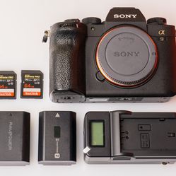 Excellent/Low Shutter - Sony a9 II Camera (ILCE-9M2)-USA model