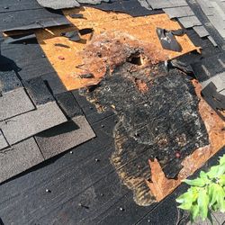 Roofing Shingles For Sale 