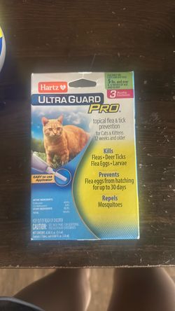 Flea Prevention