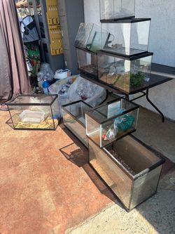 Reptile tanks