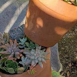 Tilted Pots
