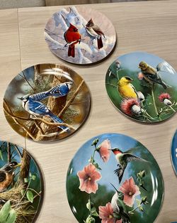Set of 8 Vintage Bird Collector Plates / 1980s Porcelain Art / All For $90