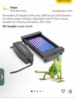 Small Reptile light