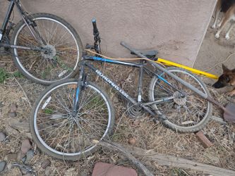 Bikes $25 or all 4 for $50