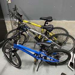 Family Bikes