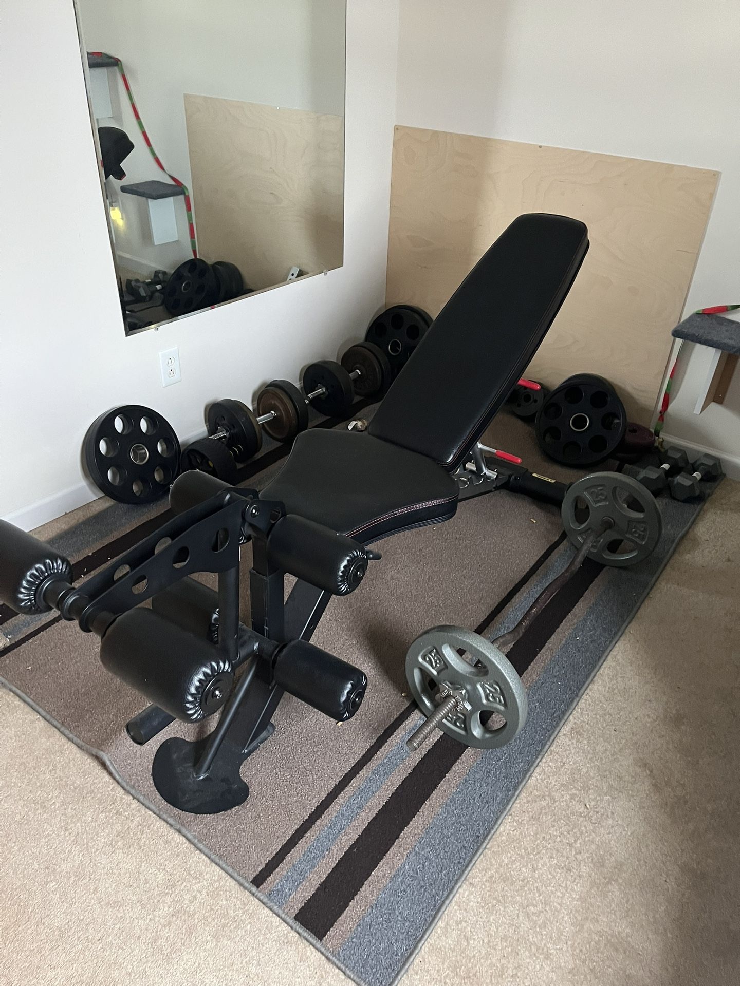 Adjustable Weight Bench With Weights Bar Mirror