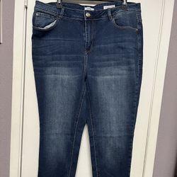 Plus Size Jeans 16 W