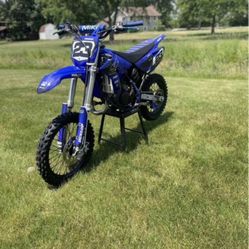 Yz85