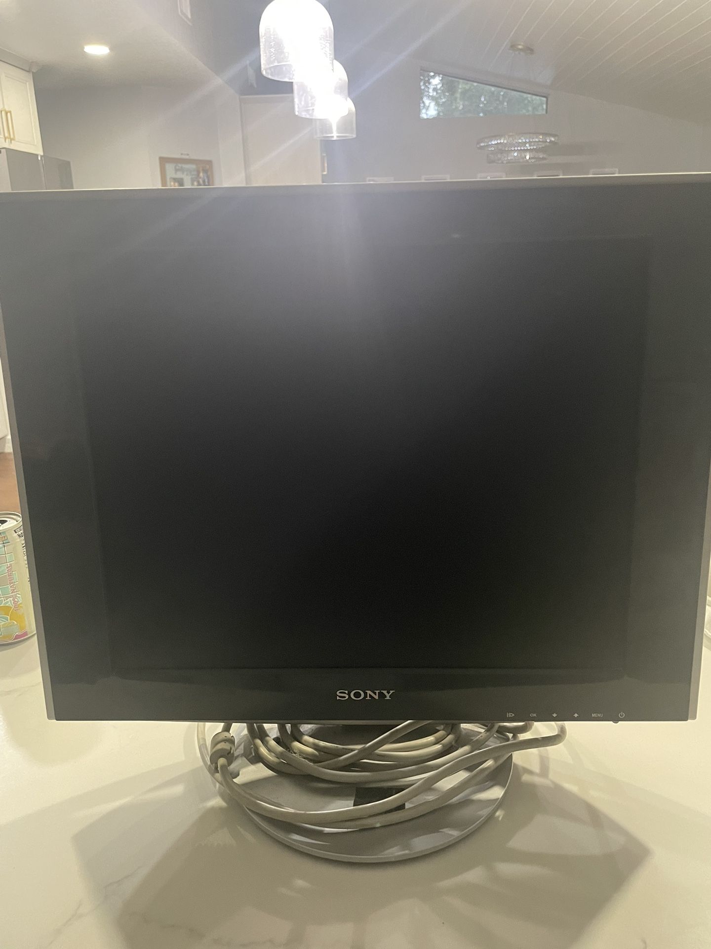 Sony Computer Monitor