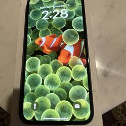 IPHONE 13 USED LESS THAN ONE MONTH! LIKE NEW