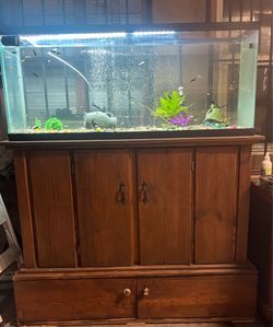 55-gallon aquarium with stand
