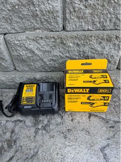 DEWALT 20V MAX Lithium-Ion 4.0 Ah and 2.0Ah Battery Packs (2-Pack) plus charger