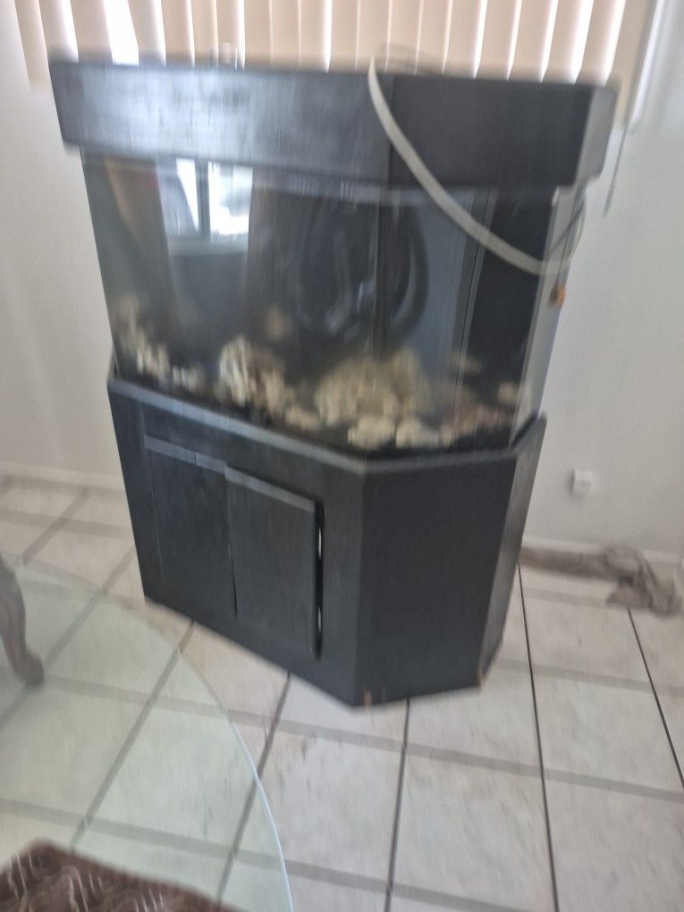 FISH TANK