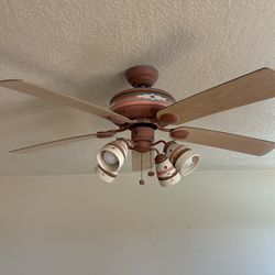 Fans