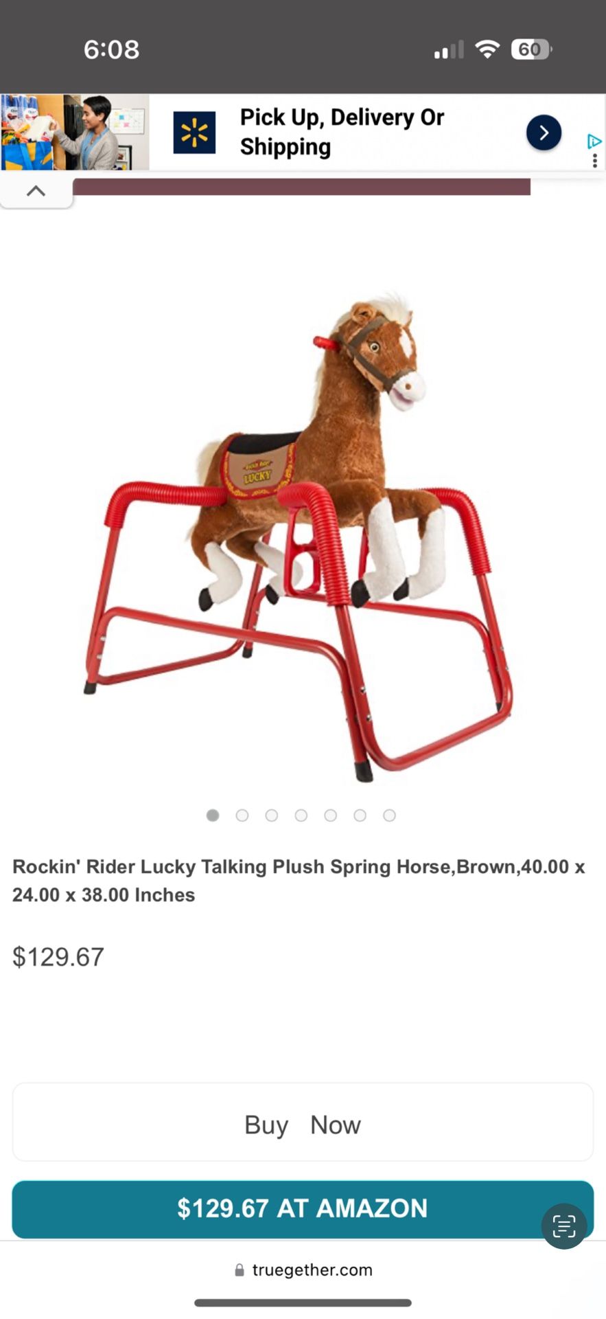 Horse