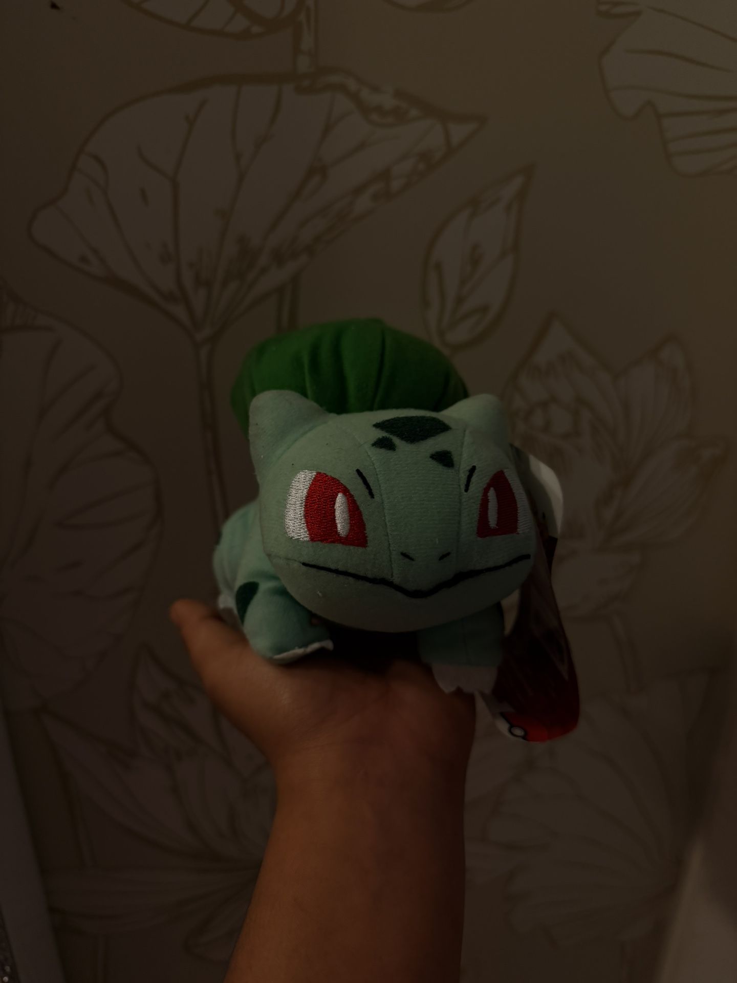Pokémon Plushie 