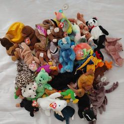 Beanie Babies & Misc - $50