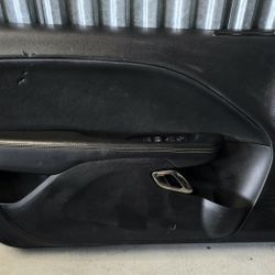 Door Panel Driver Side