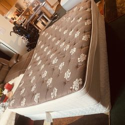 🩷🩷 $$345-comfy extra extra extra thick extra extra cushiony Queen Size brown n tan  colored lightly used mattress-    - I stock up on these from pur
