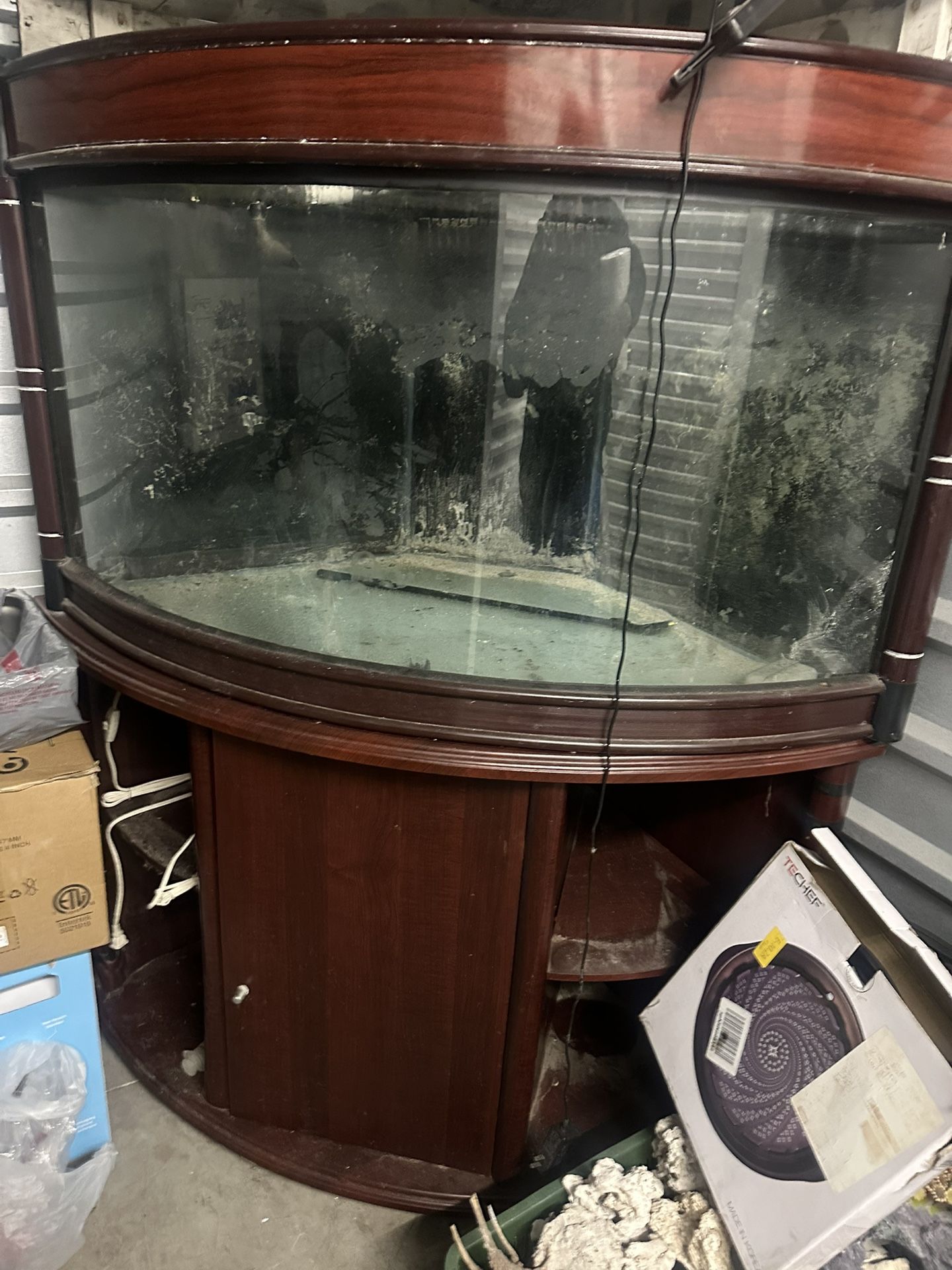 Salt Water Fish Tank