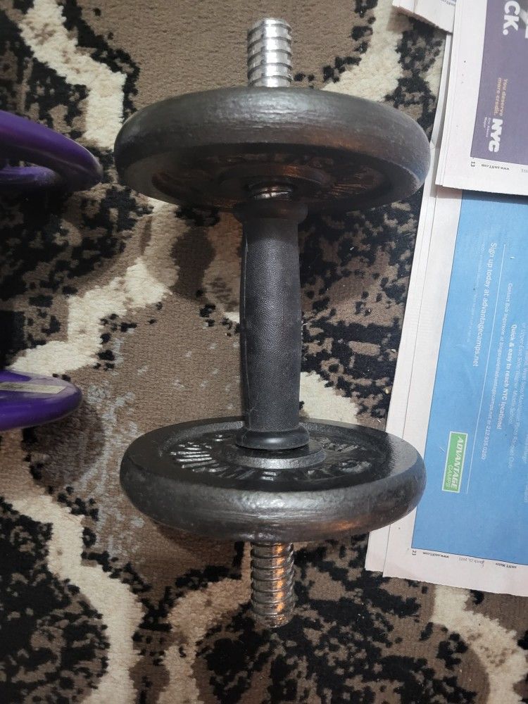 Threaded Bicep Curl Bars With Weights