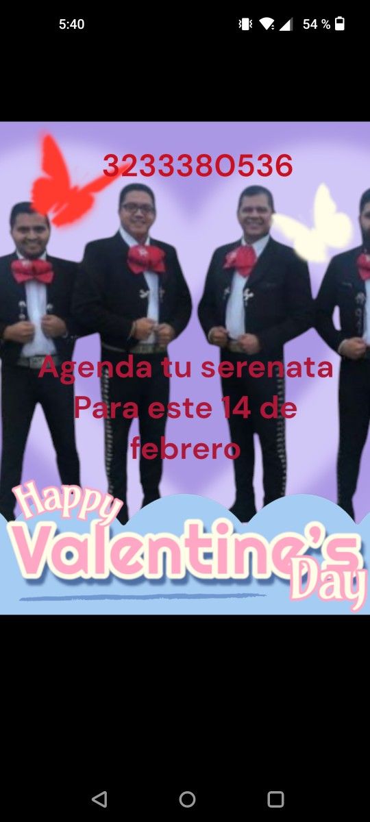 Vihuela de Mariachi