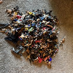 WWE Action Figures 