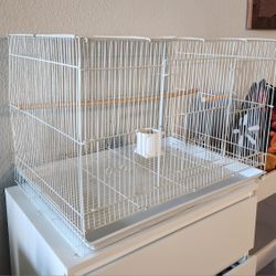 White Bird Cage