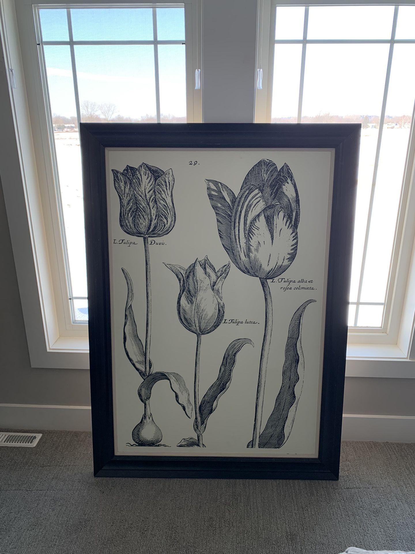 Black White Pictures Ballard Designs