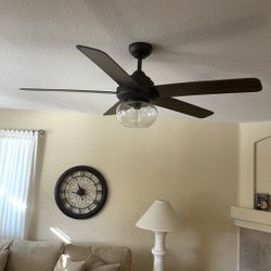 Ceiling Fans