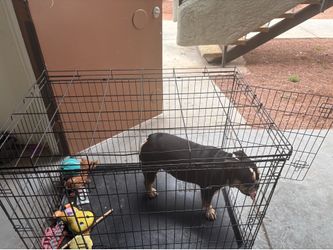 Dog cage