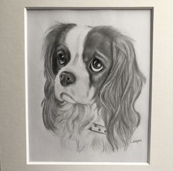 Custom Portraits Drawn 