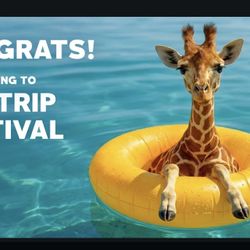 Sunday Day Trip VIP