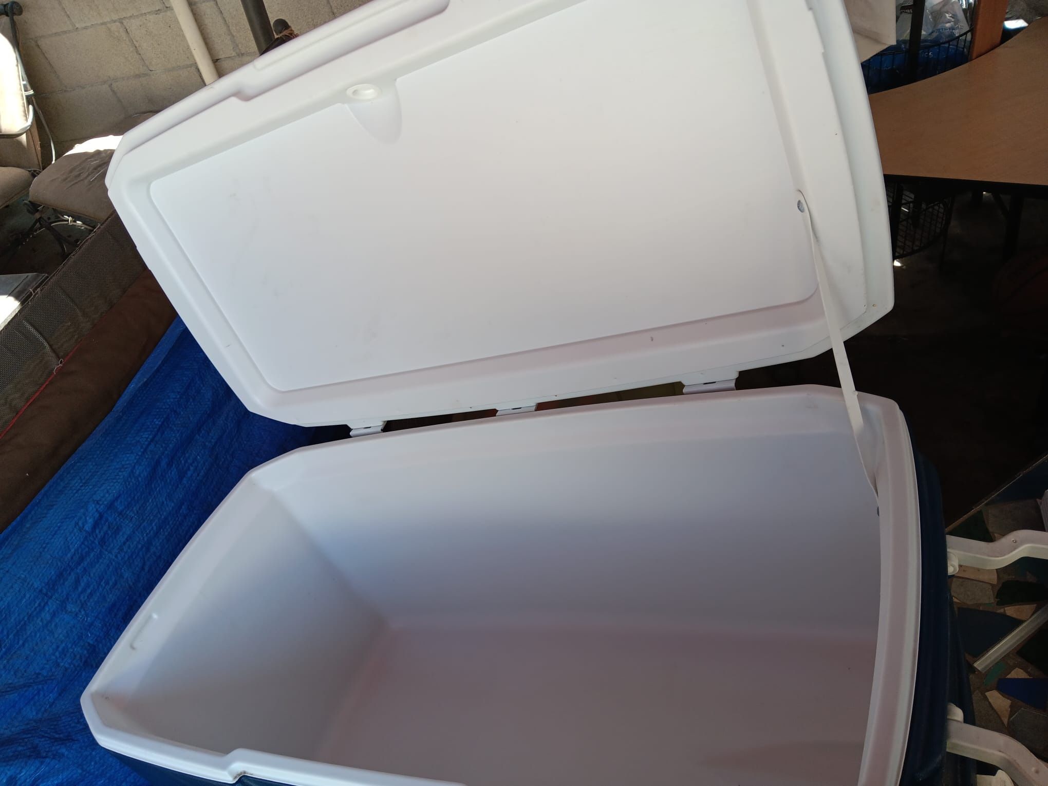 Coolers - See Bio