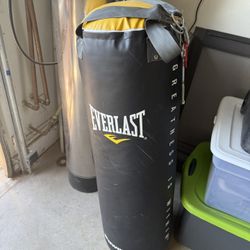Everlast Greatness Is Within Powercore Punching Bag 