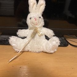 Stuff Animal Bunny