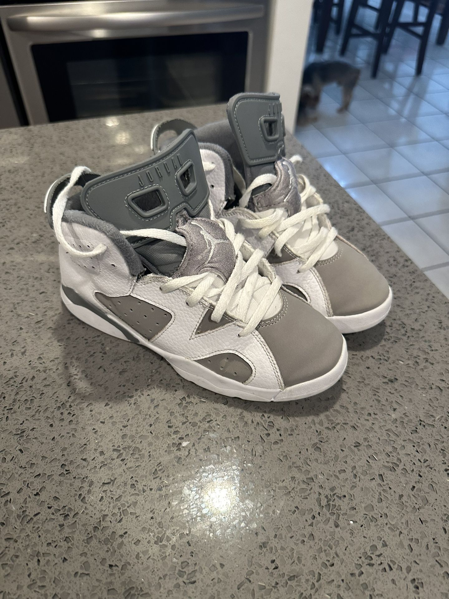 Jordan 6s Size 2youth