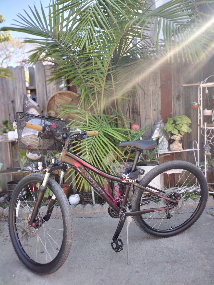 Specialized Muka Sport Bike