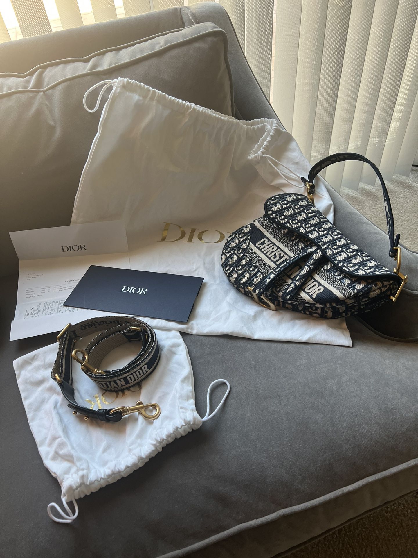 Dior Pillow Bag with Strap