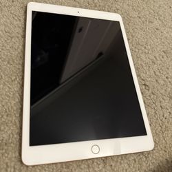 iPad (8th Generation)