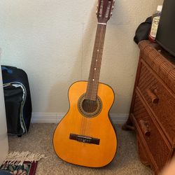 Guitar  And Bag  