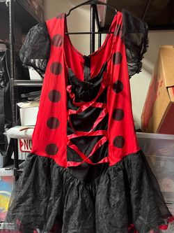 Lady Bug Costume