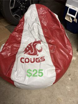 WSU Beanbag