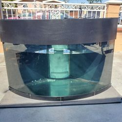 92 GALLON CORNER SALT WATER AQUA
